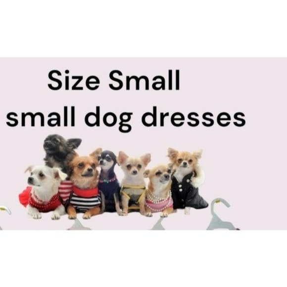 6 bundle pack of Dogs Clothes Size Small Bundle - Picture 1 of 10